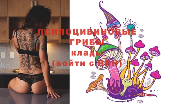 крисы Алексин