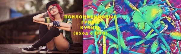 молекула духа Алексеевка